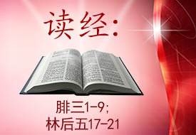 Scripture Reading