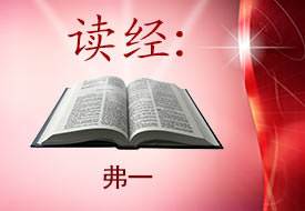 Scripture Reading