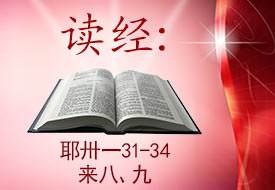 Scripture Reading