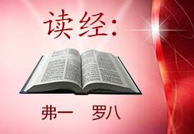 Scripture Reading