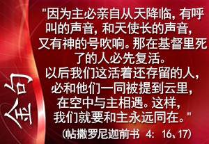 帖前四16、17