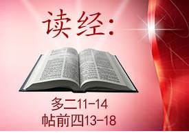 Scripture Reading