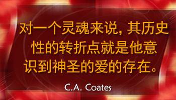 Do not be overly concerned about your defects. Instead, concentrate on having an unceasing love for Jesus...