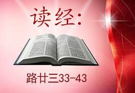 Scripture Reading