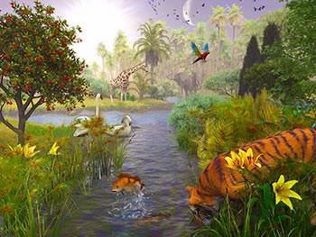 God created plant life, fish, birds, and animals