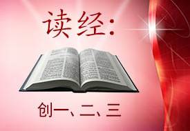Scripture Reading