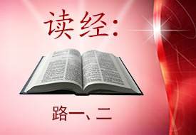 Scripture Reading