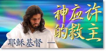 神应许的救主