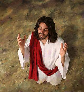 Jesus Himself declared that He was God. He said, I and My Father are one.