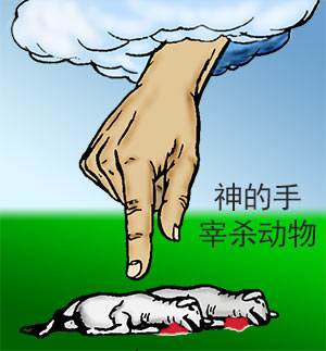God killed innocent animals to provide the coats of skins for Adam and Eve