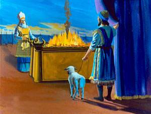 bring a lamb to the tabernacle as a sacrifice for his sins.