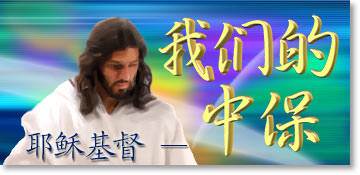 我们的中保