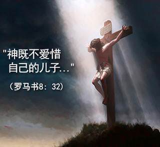 He who did not spare His own Son