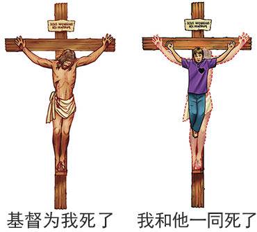 Christ died for me, I died with Him (illustration by Stephen Bates)