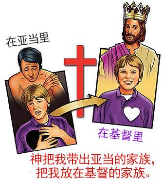 God took me out of Adam's family and put me in Christ's family (illustration by Stephen Bates)