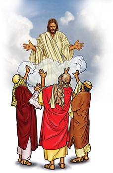 He went up, up, up into the sky