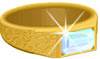 The ring in the Bible signifies honor and authority.