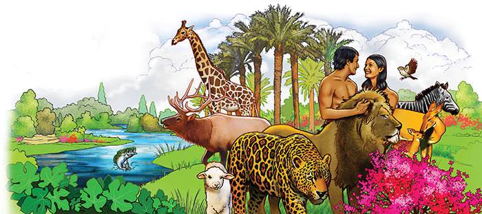 You and I have never seen a garden so beautiful as the Garden of Eden (illustration by Stephen Bates)