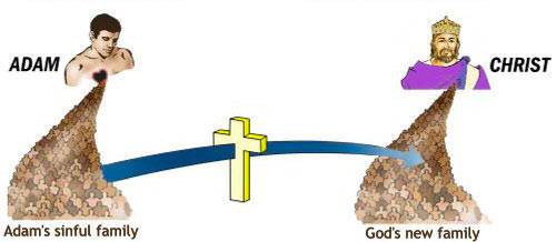 Adam's sinful family; God's new family