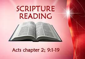 Scripture Reading