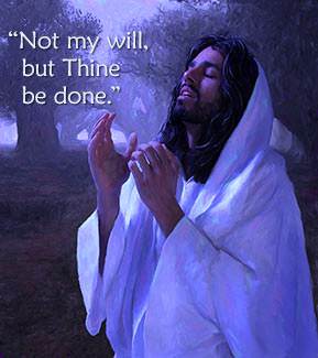 not as I will, but as You will