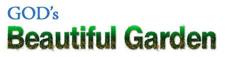 The Beautiful Garden