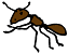 ant