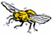 bee