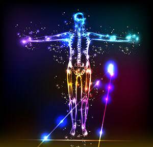 The human body is the most marvelous organism on earth