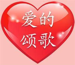 The Love Chapter